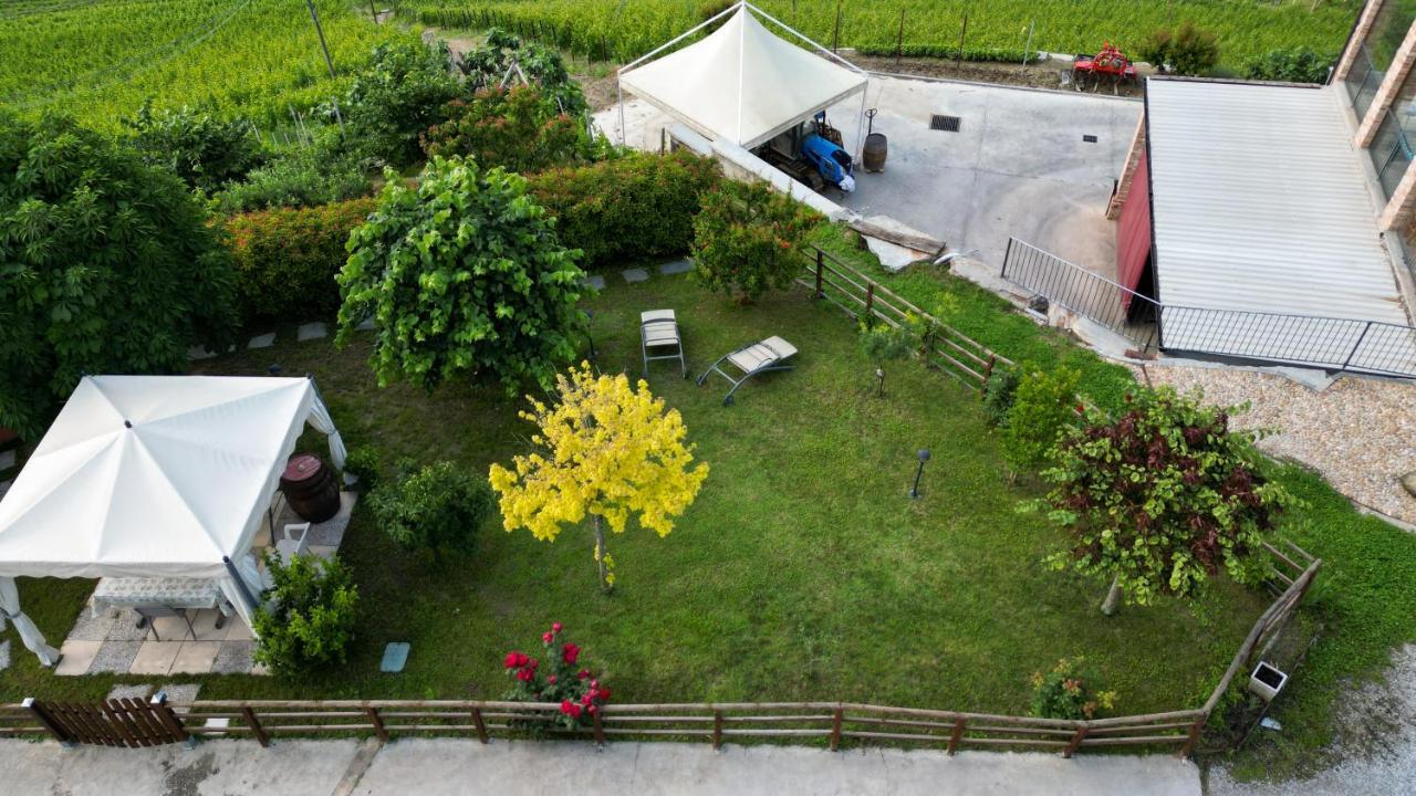 Sunny House Apartment Diano d'Alba Exterior photo