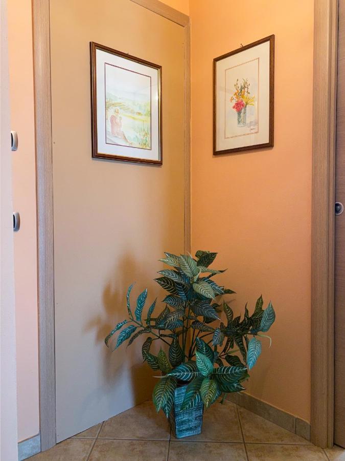 Sunny House Apartment Diano d'Alba Exterior photo